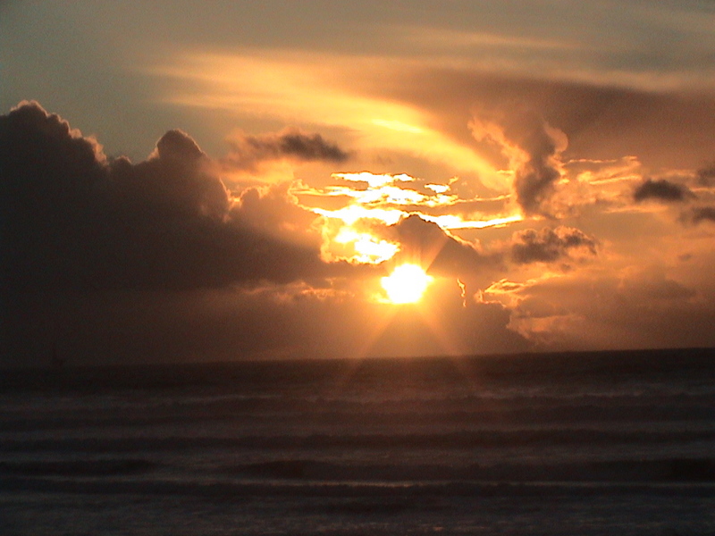 beach-serene-nature-scenery 1